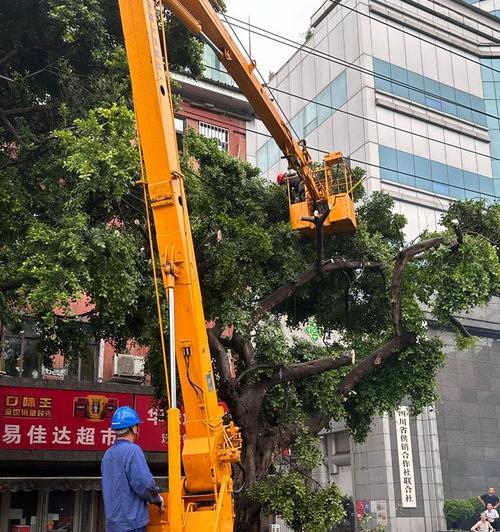 月桂修剪的技巧与方法（掌握月桂修剪的要点，让你的花园更美丽）-第3张图片-绿意生活