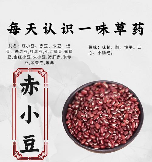 红小豆种植方法详解（适合种植的时间、方法及注意事项）-第3张图片-绿意生活