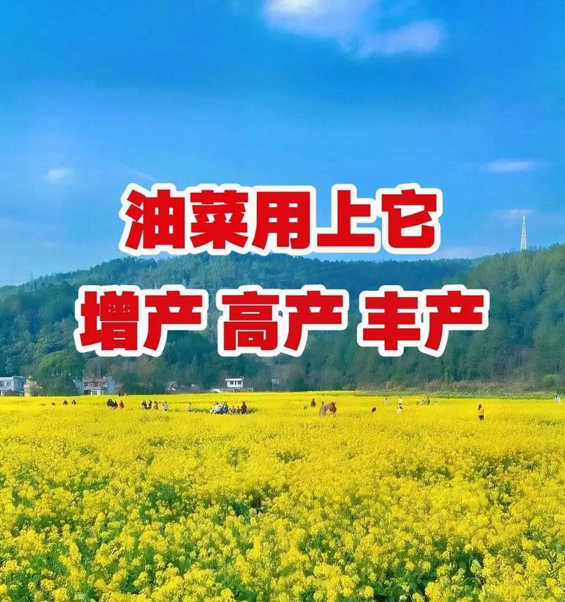 油菜壳肥料的利与弊（可循环利用的生态肥料）-第1张图片-绿意生活