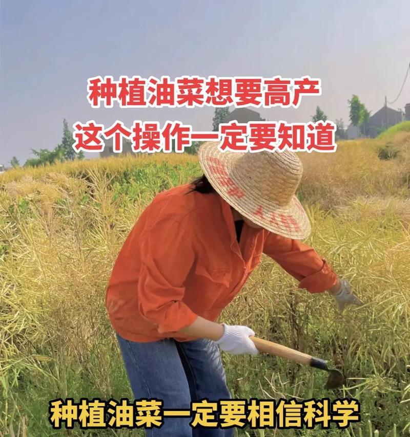 油菜壳肥料的利与弊（可循环利用的生态肥料）-第3张图片-绿意生活