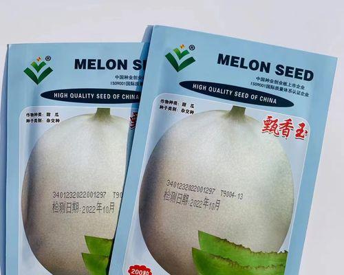 如何判断香瓜是否熟透（通过外观、气味和手感来鉴别）-第3张图片-绿意生活