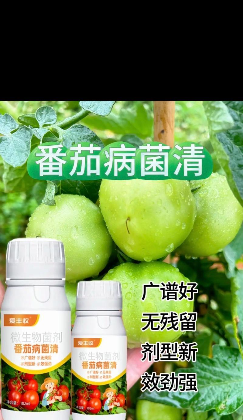 探究番茄落果的原因（分析番茄生长过程中落果的原因及预防方法）-第1张图片-绿意生活