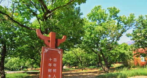 探秘栗子树的寿命（了解栗子树的生长周期和关键因素）-第3张图片-绿意生活