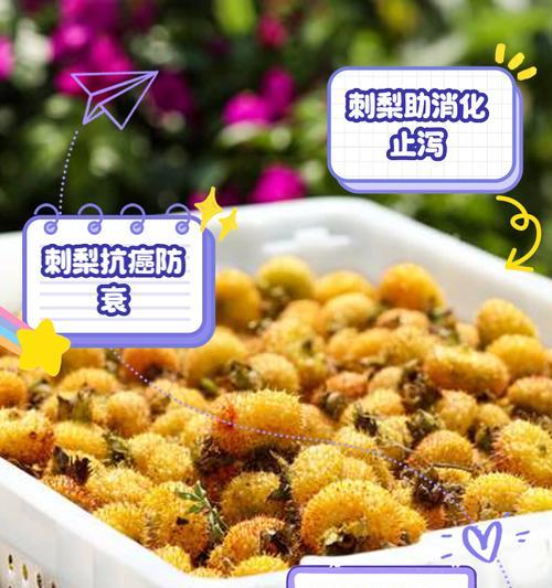 刺梨的营养价值与食用方法（刺梨的功效与作用，刺梨的营养成分分析，刺梨的食用方法）-第2张图片-绿意生活