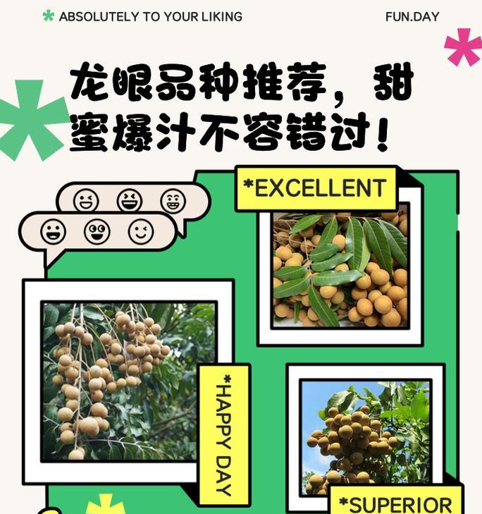 龙眼果成熟的季节（探秘龙眼果的成熟过程与时机）-第1张图片-绿意生活