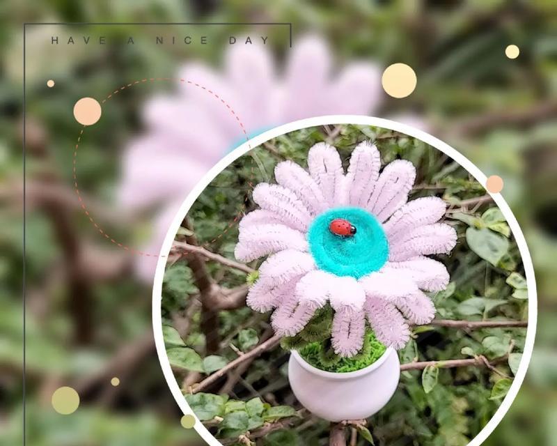 非洲菊叶子发黄，是怎么回事？（引起非洲菊叶子发黄的原因及治疗方法）-第2张图片-绿意生活