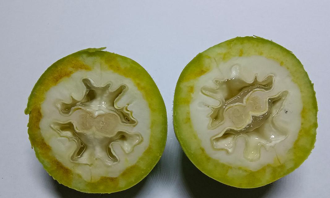 掌握青皮核桃的采摘时机与方法（秋季采摘青皮核桃，掌握这些窍门就行了）-第1张图片-绿意生活