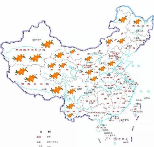 探秘沙棘的生长环境及生长地方条件（从土壤、气候到生态系统，沙棘在哪里最茂盛？）-第2张图片-绿意生活