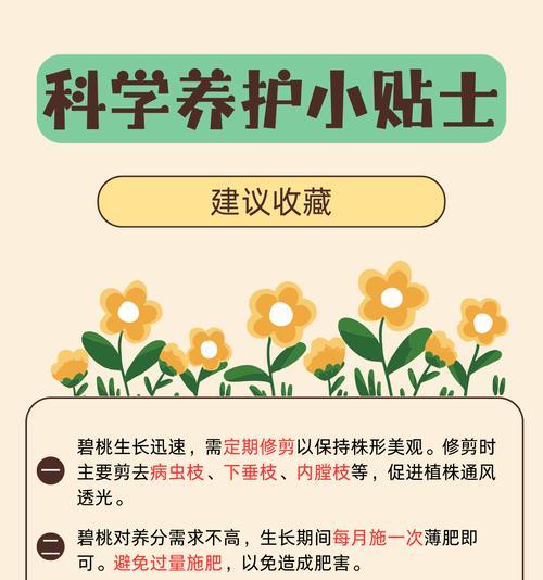 碧桃树果实的营养和食用方法（探讨碧桃树果实的健康益处和多种用途）-第3张图片-绿意生活