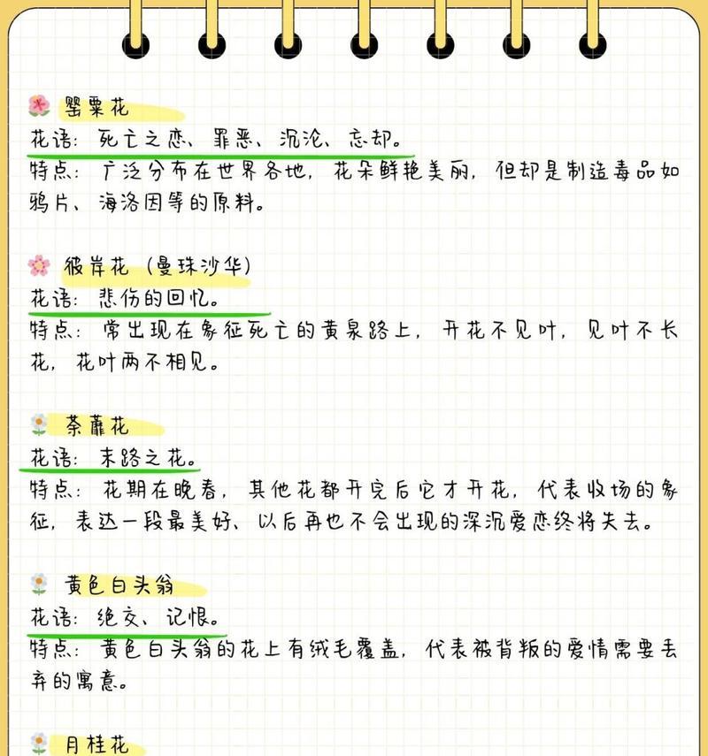 曼陀罗花的花语（探寻曼陀罗花的神秘花语，品味花朵传递的深刻含义）-第3张图片-绿意生活