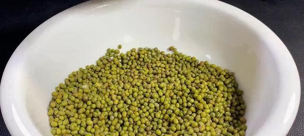 绿豆生长的最适温度（探究影响绿豆生长的温度因素及最适温度范围）-第3张图片-绿意生活