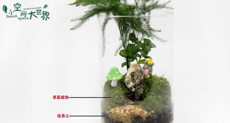 多肉植物的土壤配制方法（打造适合多肉生长的土壤，让多肉健康茁壮成长）-第2张图片-绿意生活
