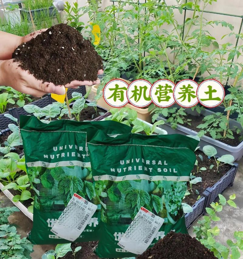 多肉植物的土壤配制方法（打造适合多肉生长的土壤，让多肉健康茁壮成长）-第3张图片-绿意生活