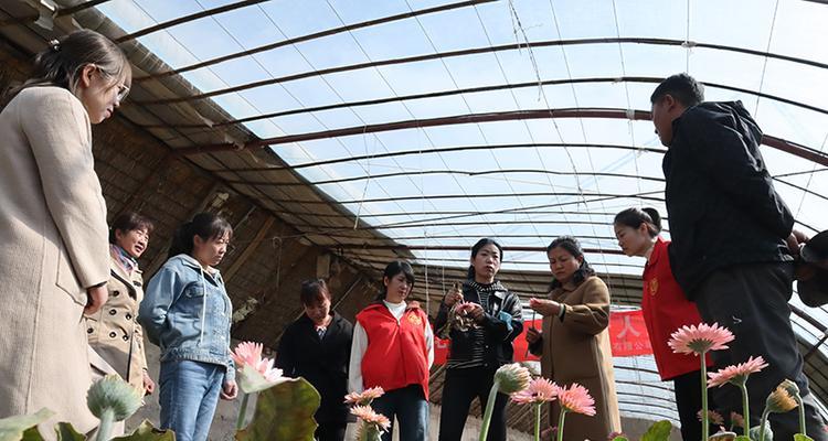 康乃馨夏季安全指南（清凉防晒，健康出行，让康乃馨陪你度过安全夏季）-第2张图片-绿意生活