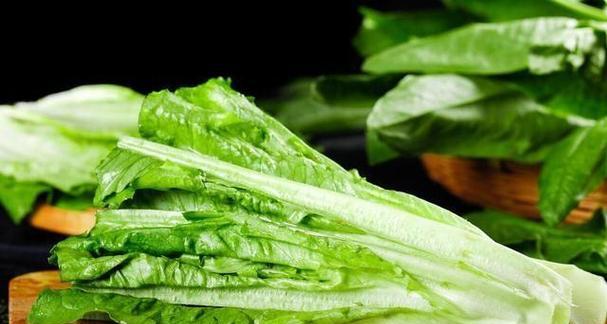 麦菜生长周期的探究（掌握麦菜生长周期，提高种植效率与产量）-第3张图片-绿意生活