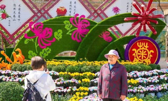 菊花代表什么生肖：探究菊花文化与生肖的深度关联-第1张图片-绿意生活