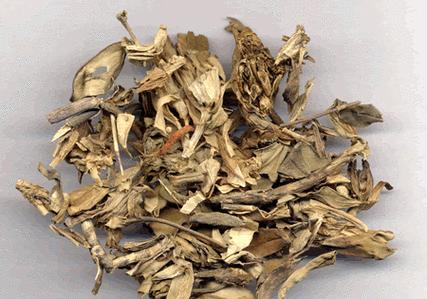 龙胆草的功效与作用（探究龙胆草的神奇之处——）-第3张图片-绿意生活