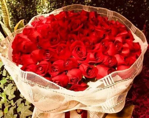 客户生日送什么花好？（15种花材让你的礼物更有心）-第1张图片-绿意生活