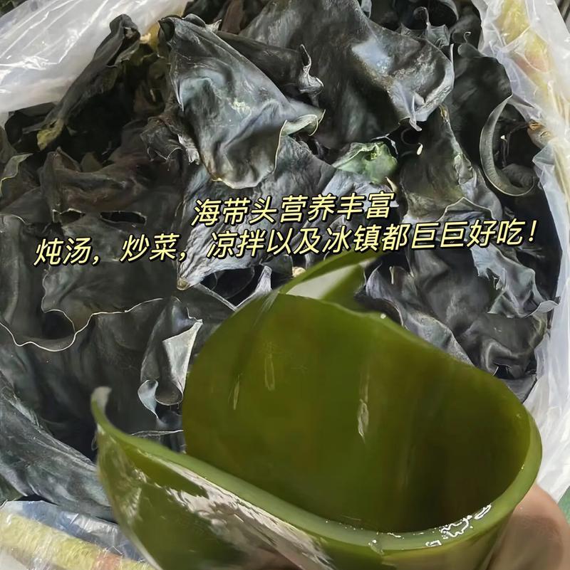 海带生长的环境条件和特点（从水温、光照、营养物质等方面探究海带的生长特点）-第2张图片-绿意生活