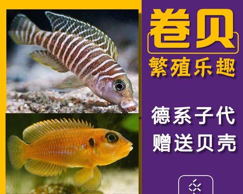 鹤望兰的繁殖方法和注意事项（打造美丽宜人的鹤望兰花园）-第1张图片-绿意生活