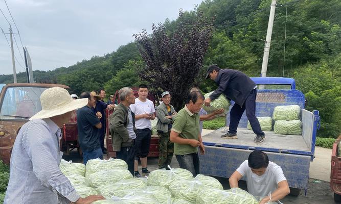 地芸豆种植全攻略（种植时间、方法、注意事项等详解）-第3张图片-绿意生活