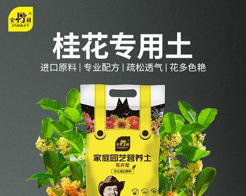 打造高效的桂花土（桂花土怎么配种植营养土？）-第1张图片-绿意生活