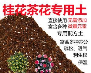 打造高效的桂花土（桂花土怎么配种植营养土？）-第2张图片-绿意生活