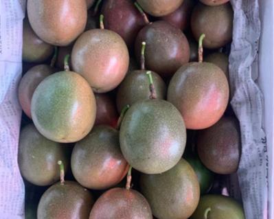 百香果——热带美味的多年生植物（百香果的生长习性、种植方法与营养价值）-第1张图片-绿意生活