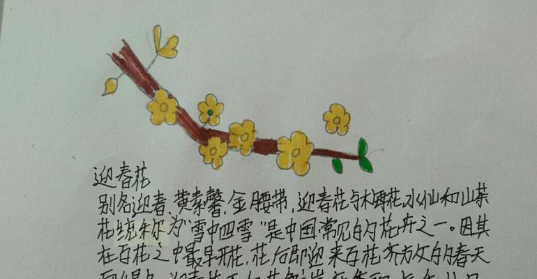 大蒜的繁殖方法详解（种植大蒜的最佳时机和技巧）-第1张图片-绿意生活