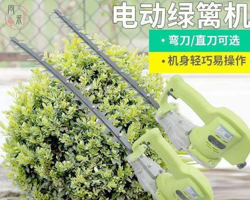 金银花修剪方法（让您的金银花常青常美）-第3张图片-绿意生活