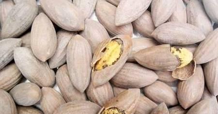 揭开花生种子有毒的真相（关于花生种子是否有毒，你需要知道的15件事）-第3张图片-绿意生活