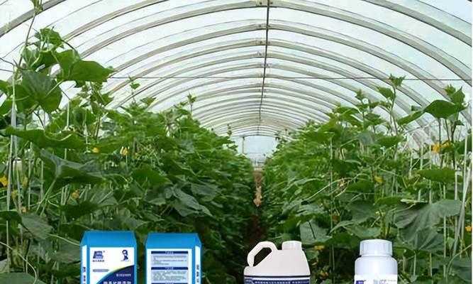 酵素肥料的效果与应用剖析（从天然酵素到高效施肥，全面解读酵素肥料的优势和适用场景）-第2张图片-绿意生活