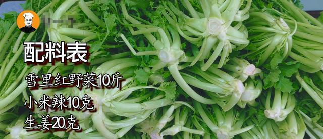 探寻辣菜和雪里红的秘密（一窥辣妈菜肴的精髓，辣爆你的味蕾）-第2张图片-绿意生活