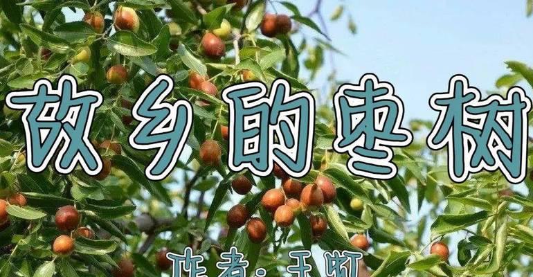 北方枣树春季发芽与生长特点（探究北方枣树春季发芽与生长的关键因素）-第2张图片-绿意生活