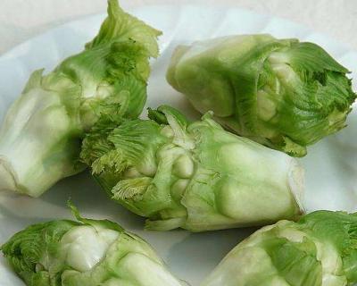 儿菜与大头菜的区别解析（探究儿菜与大头菜是否同一种蔬菜）-第2张图片-绿意生活