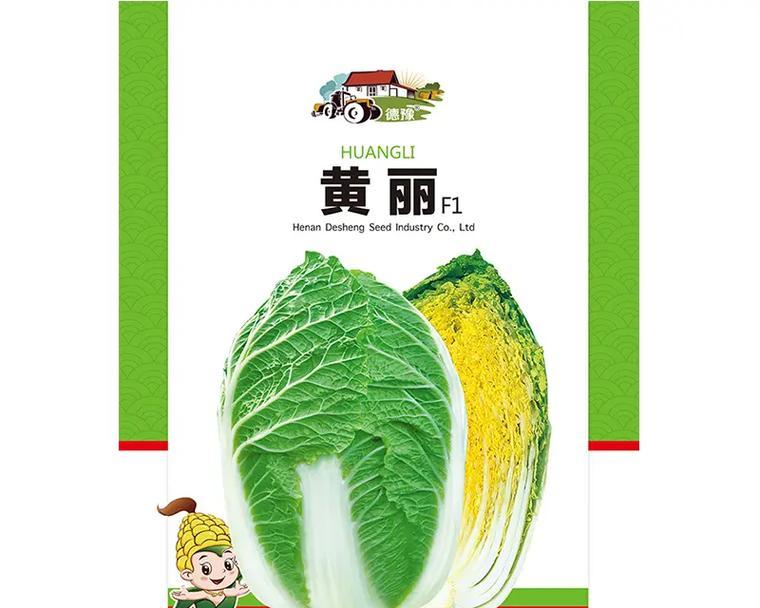 白菜的种植与收获（全年收获时间表及栽种技巧）-第3张图片-绿意生活