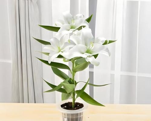 黄百合花香味有毒吗？（探究黄百合花的毒性成分及其影响）-第3张图片-绿意生活