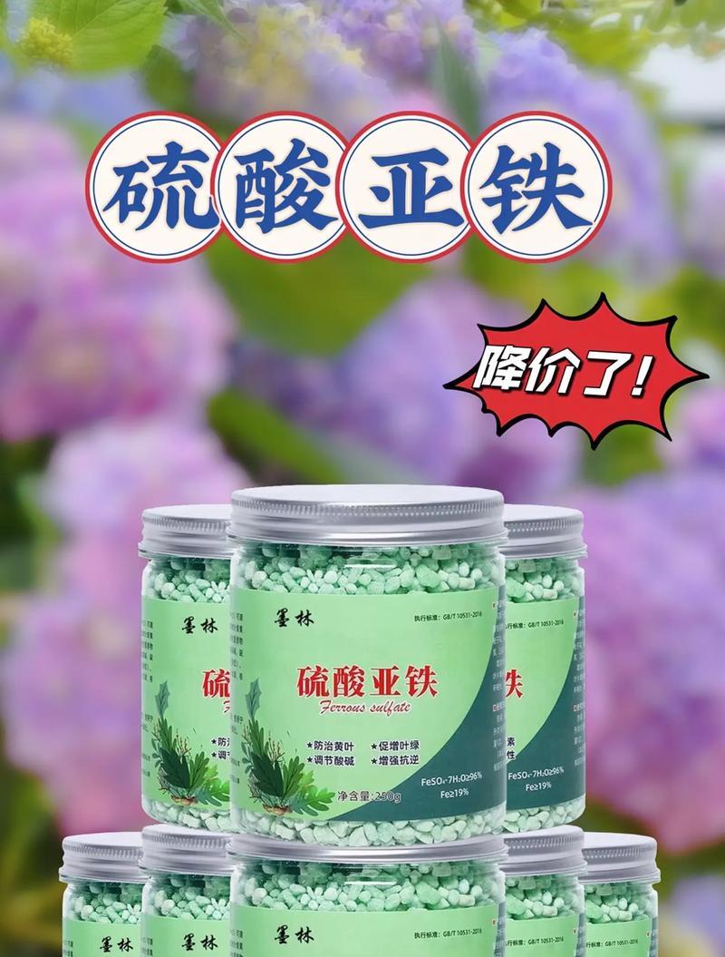 茶花养护指南（如何正确施用硫酸亚铁，让茶花生机勃勃）-第1张图片-绿意生活