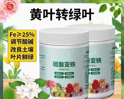 茶花养护指南（如何正确施用硫酸亚铁，让茶花生机勃勃）-第2张图片-绿意生活