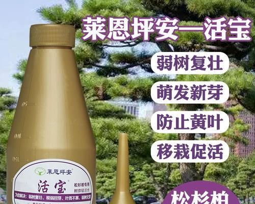 黑松换盆后如何浇水？（正确掌握浇水频率，让黑松成长得更加健康）-第3张图片-绿意生活