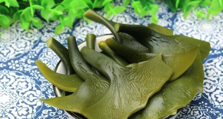 海带生长环境条件及特点（探秘海洋深处的“海带之王”——生长环境、营养价值及利用方式）-第2张图片-绿意生活