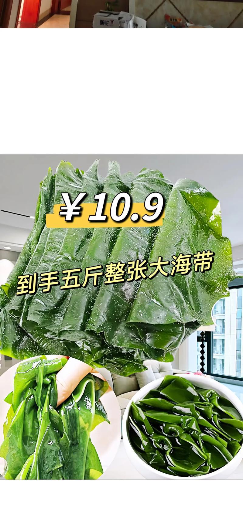 海带生长环境条件及特点（探秘海洋深处的“海带之王”——生长环境、营养价值及利用方式）-第3张图片-绿意生活
