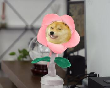 道歉送什么花最适合（花语传达歉意，不同花材适用场合详解）-第3张图片-绿意生活