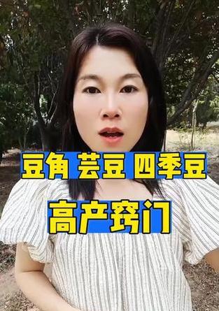 地芸豆的种植时间和方法详解（掌握种植技巧，享受丰收乐趣）-第3张图片-绿意生活