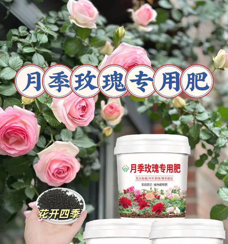 花月夜的养殖方法和注意事项（打造美丽花园，关注养殖技巧）-第2张图片-绿意生活