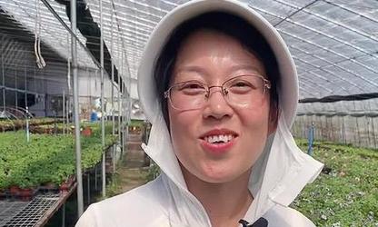 矮牵牛的繁殖与注意事项（了解矮牵牛的繁殖时间和技巧，让你的花园更美丽）-第1张图片-绿意生活