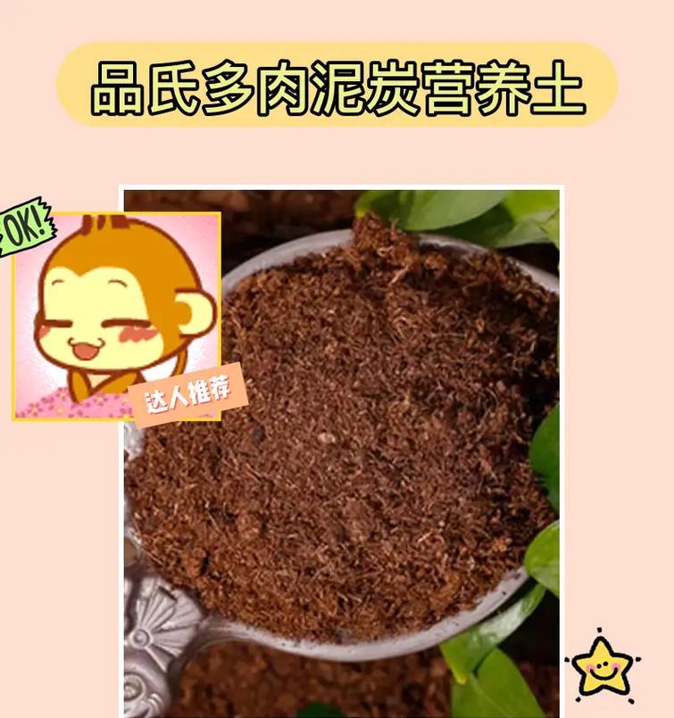 多肉植物种植必须知道的配土方法（轻松掌握，不再盲目尝试，让多肉健康成长）-第2张图片-绿意生活