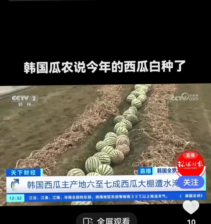 揭秘宁夏西瓜的产地（探究宁夏西瓜生产基地的地理位置、气候条件以及品种特点）-第3张图片-绿意生活