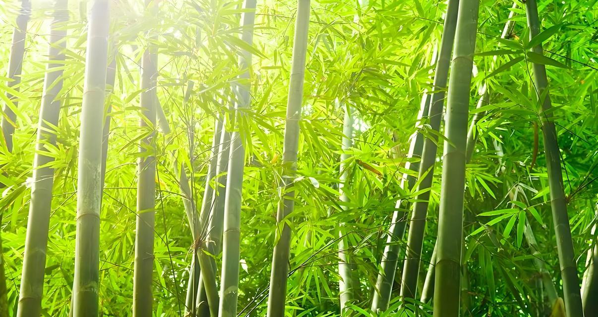 树是草本植物吗？（一场关于植物分类的辩论）-第1张图片-绿意生活