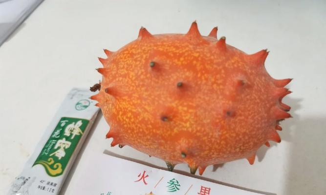 如何正确收获火参果种子（学会收获，让你的火参果种植更成功）-第1张图片-绿意生活